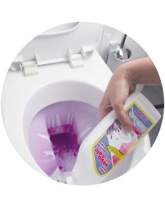 5 Produkte-Set für die WC-Reinigung