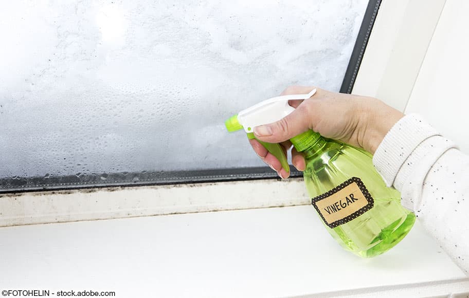 Schimmel am Fenster wird mit einem grünen Essigessenz-Spray behandelt.