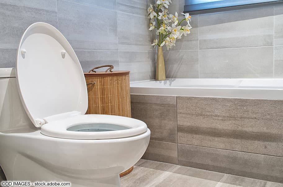 Modernes Bad mit grauen Wandfliesen und Stand-WC mit Spülkasten.
